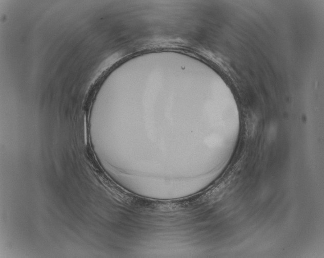 X0000076221219200610191524