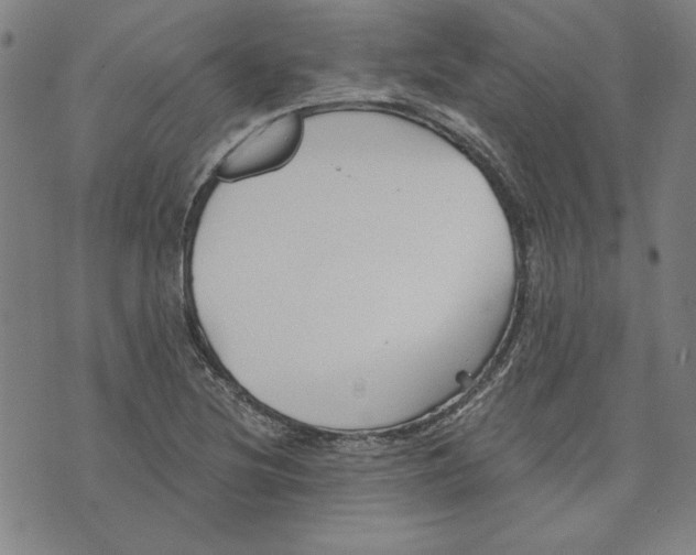 X0000076221220200610191524