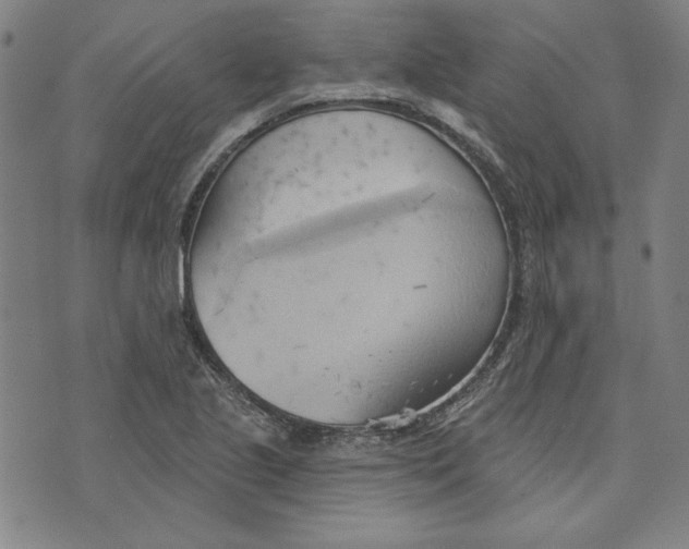 X0000076221221200610191524