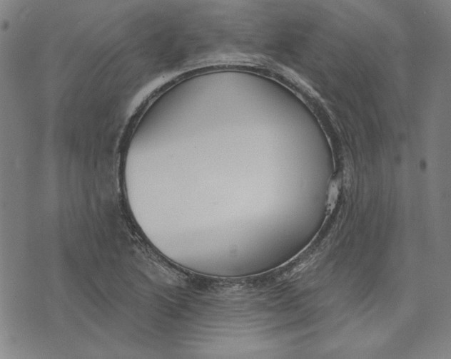 X0000076221222200610191524