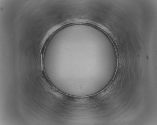 X0000076221223200610191524