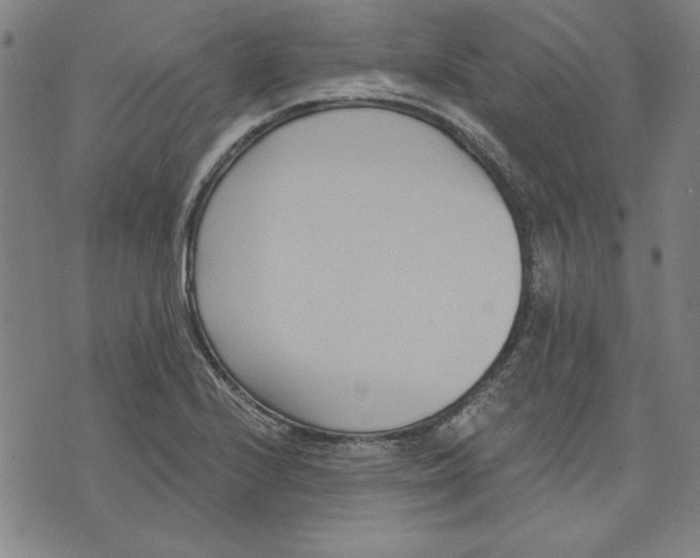 X0000076221224200610191524