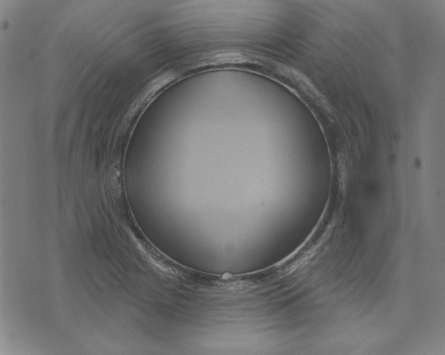 X0000076221225200610191524