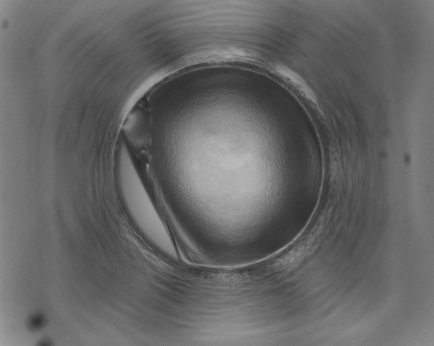 X0000076221226200610191524