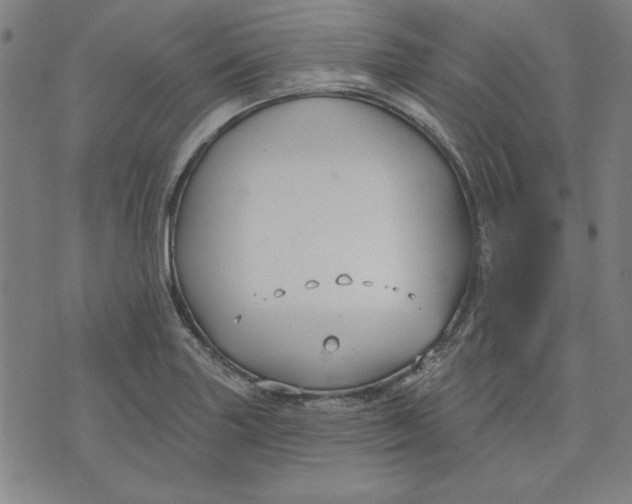 X0000076221227200610191524