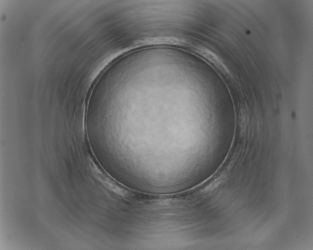 X0000076221228200610191524