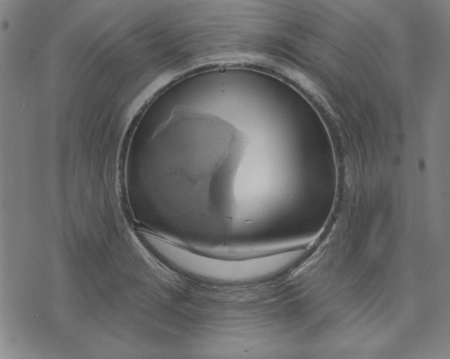 X0000076221229200610191524