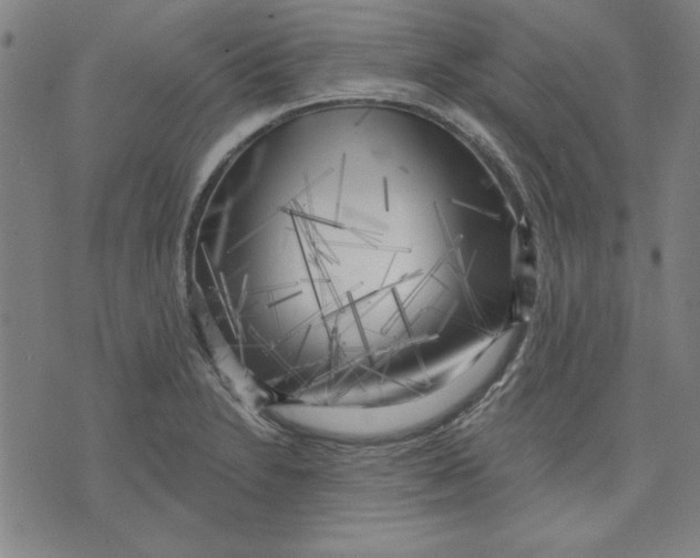 X0000076221230200610191524