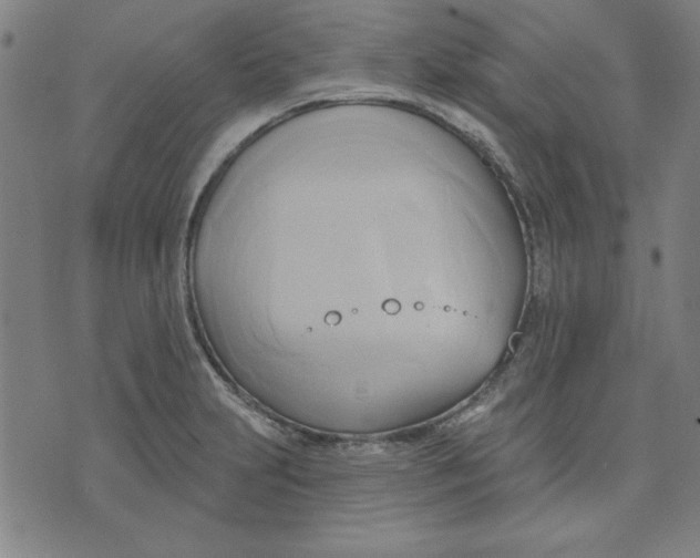 X0000076221231200610191524