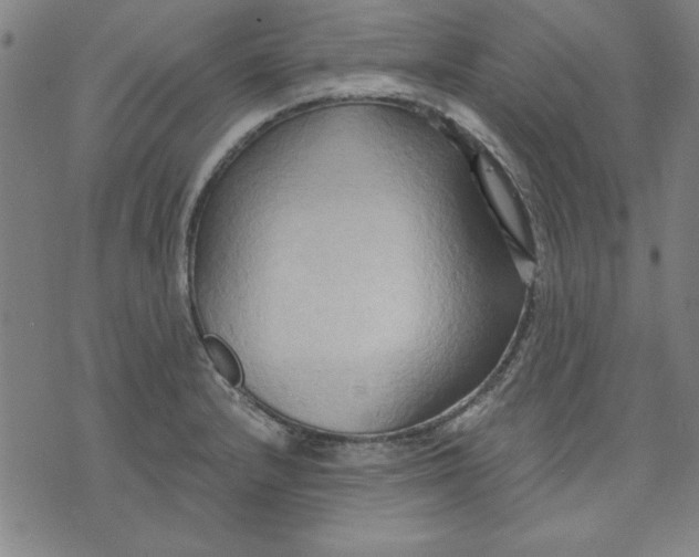 X0000076221232200610191524