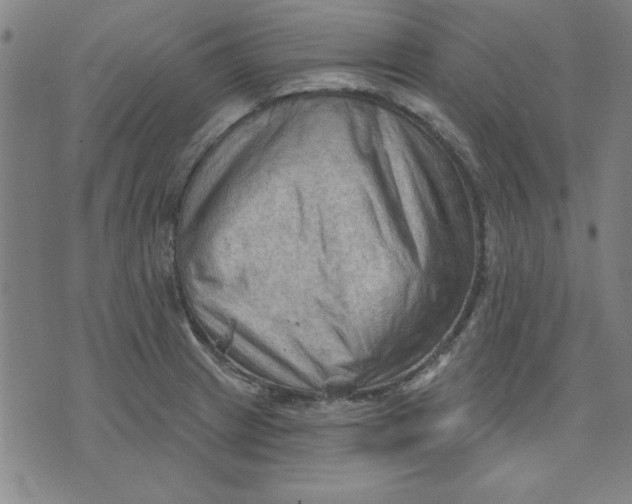 X0000076221233200610191524