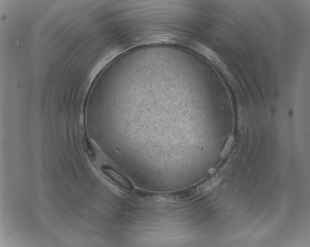 X0000076221234200610191524