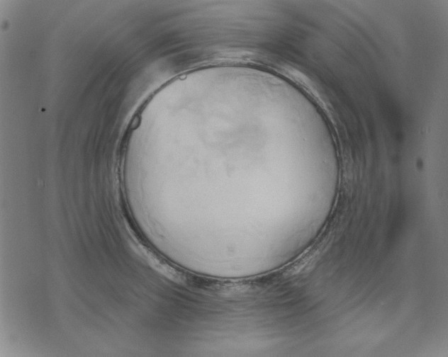 X0000076221235200610191524