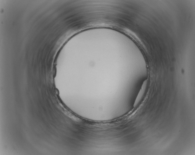 X0000076221236200610191524