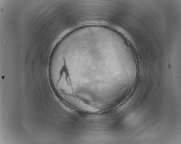 X0000076221237200610191524