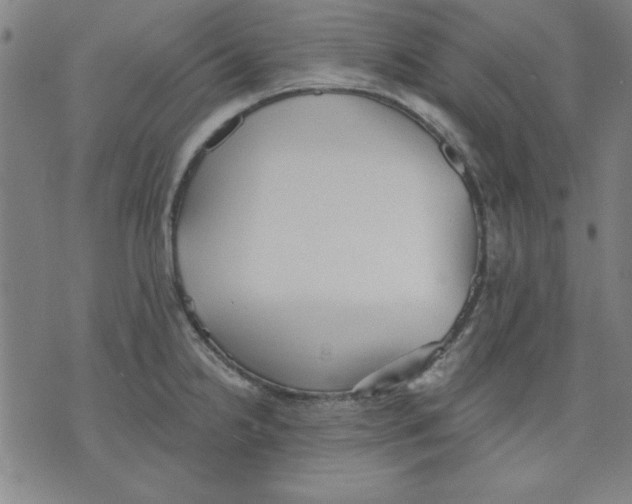 X0000076221238200610191524