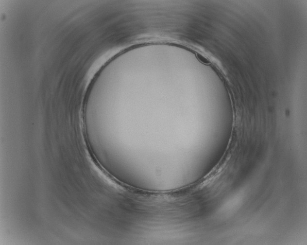 X0000076221239200610191524