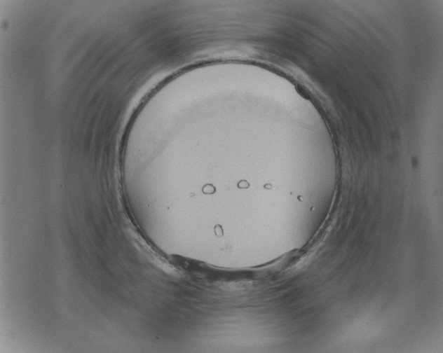 X0000076221240200610191524