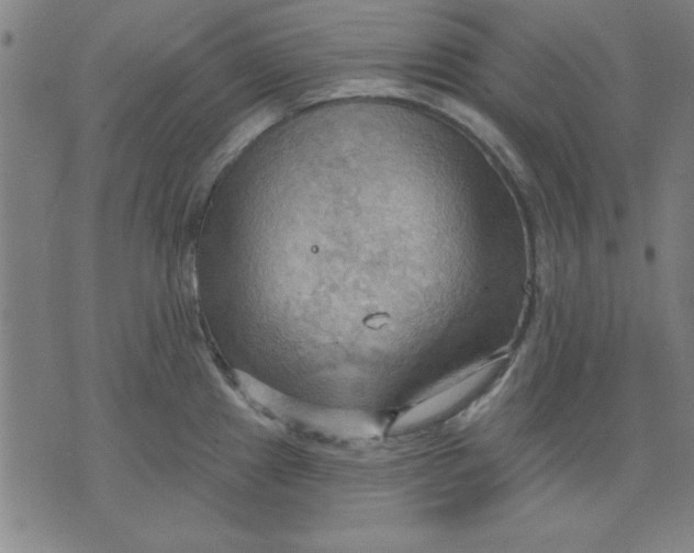 X0000076221241200610191525