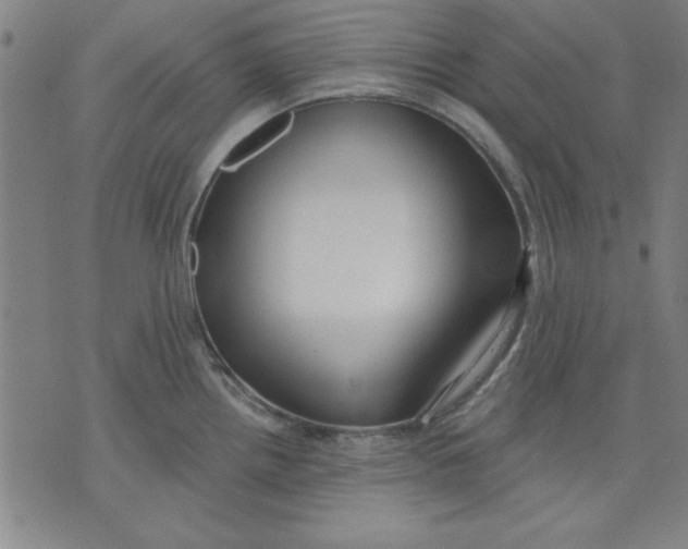 X0000076221242200610191525