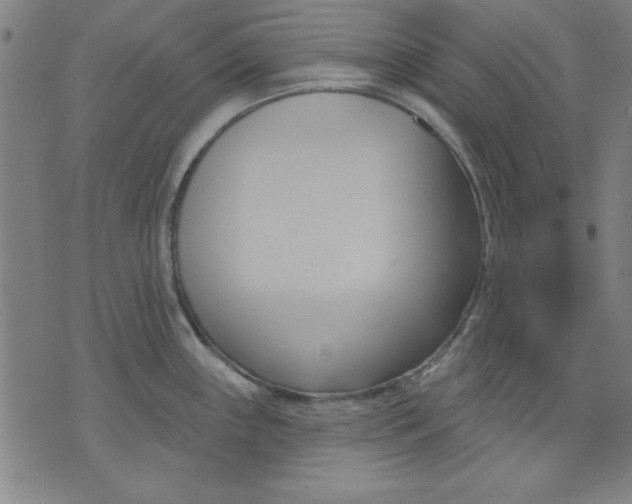 X0000076221243200610191525