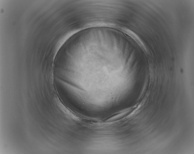 X0000076221244200610191525