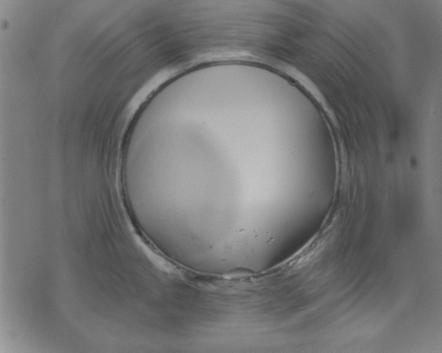 X0000076221245200610191525