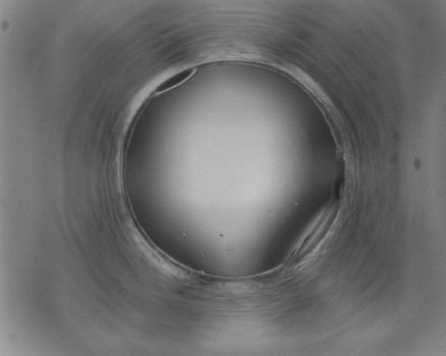 X0000076221246200610191525