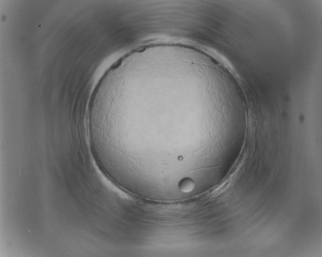 X0000076221247200610191525