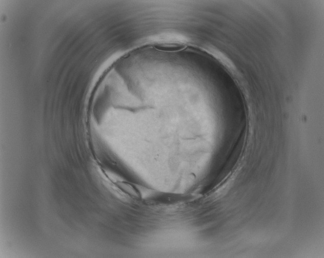 X0000076221248200610191525