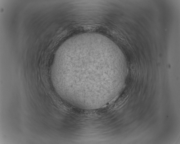 X0000076221249200610191524