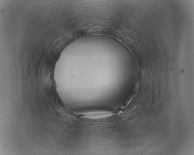 X0000076221250200610191524