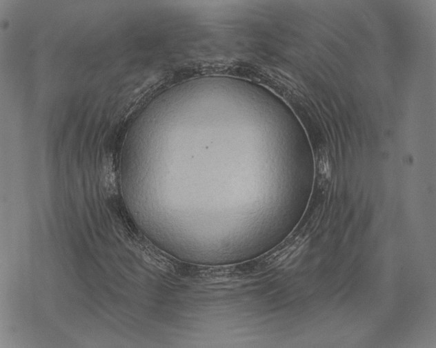 X0000076221252200610191524