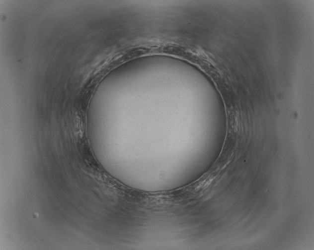 X0000076221253200610191524