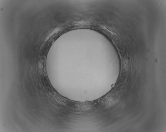 X0000076221254200610191524