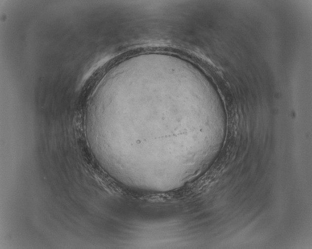 X0000076221255200610191524