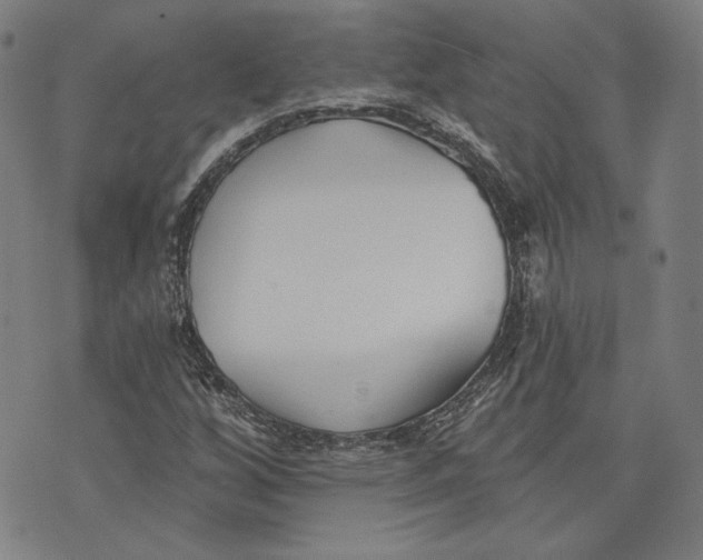 X0000076221256200610191524