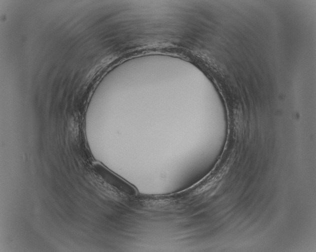 X0000076221257200610191524