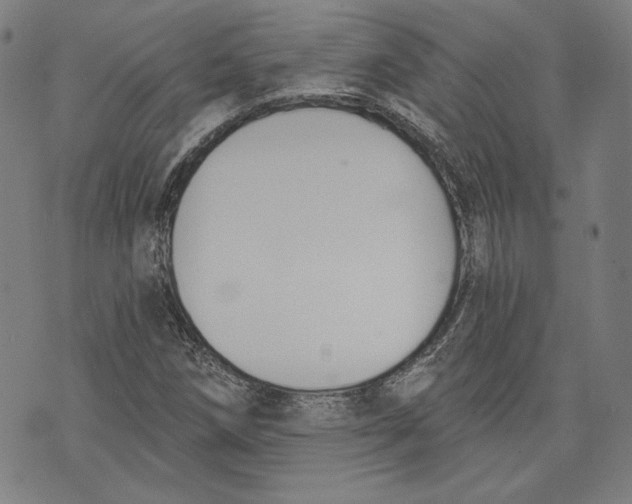 X0000076221258200610191524