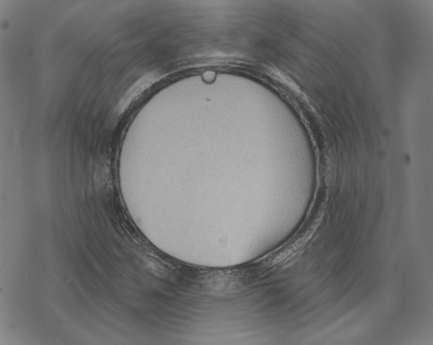 X0000076221259200610191524