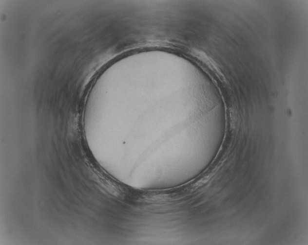 X0000076221260200610191524