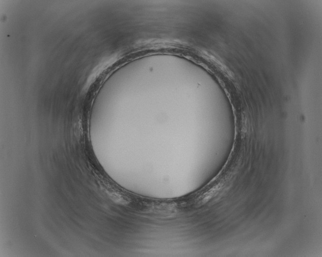 X0000076221261200610191524