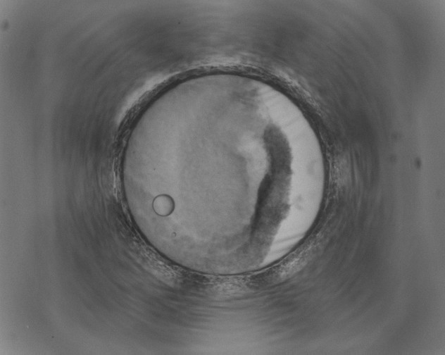 X0000076221262200610191524