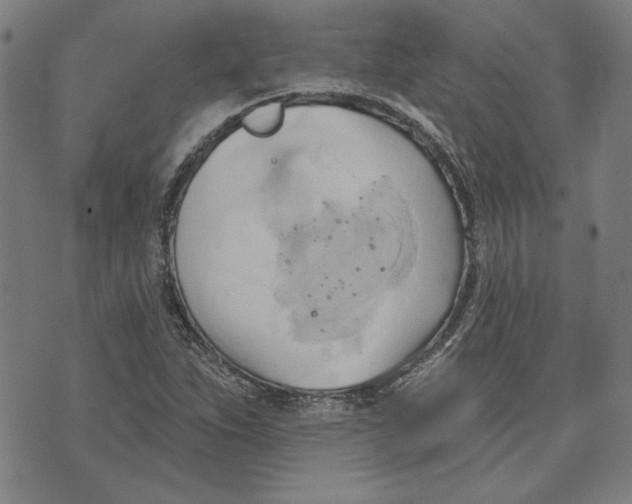 X0000076221263200610191524