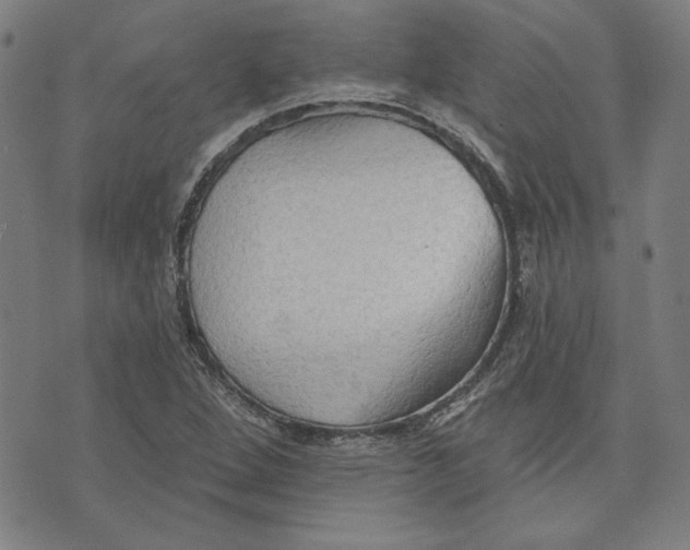 X0000076221264200610191524