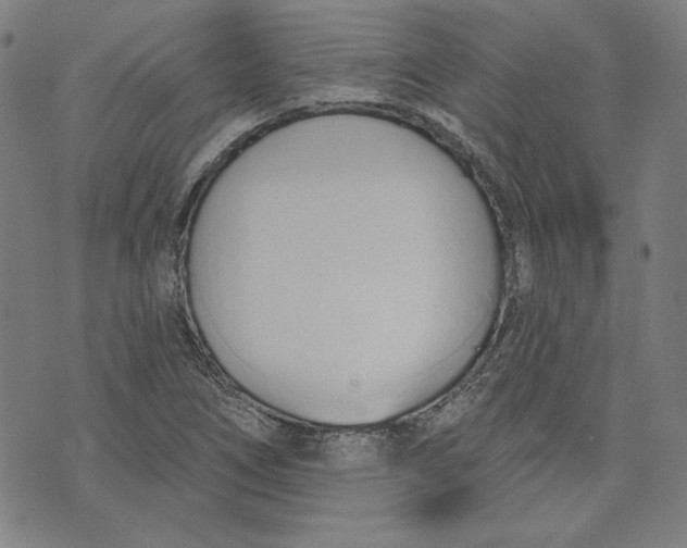 X0000076221266200610191524