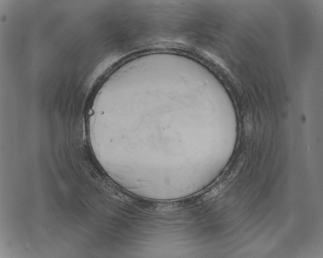 X0000076221267200610191524