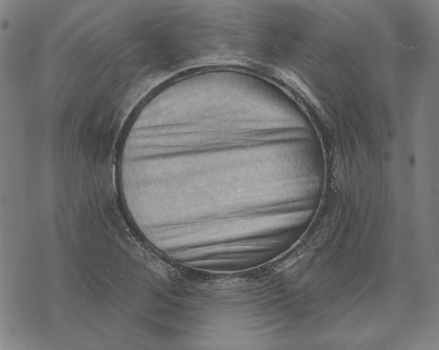 X0000076221268200610191524