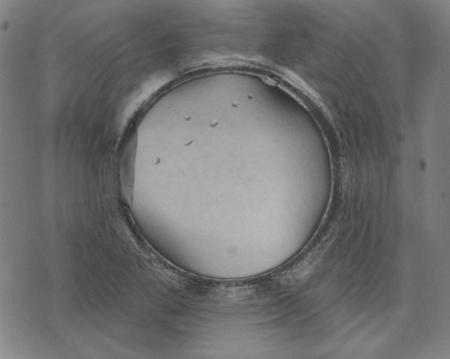 X0000076221269200610191524