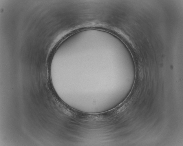 X0000076221270200610191524